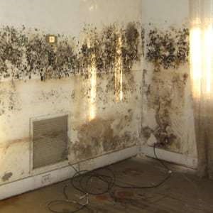 Deteriorated home wall